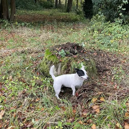 1-bed Nr アパート