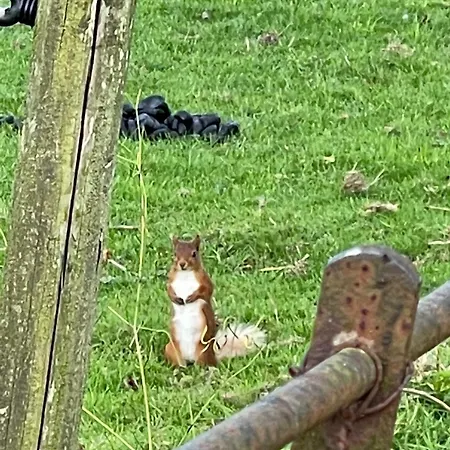 1-bed Nr アパート *